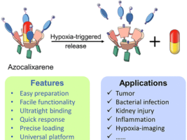Accounts of Materials Research（《材料研究述评》）制作科普视频报道我课题组最新研究进展